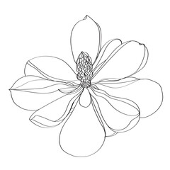 black and white flower vector