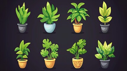 A collection of various potted plants in decorative pots against a dark background.