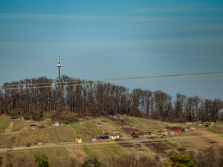 Obraz premium Weinberg Eschberg bei Ölbronn