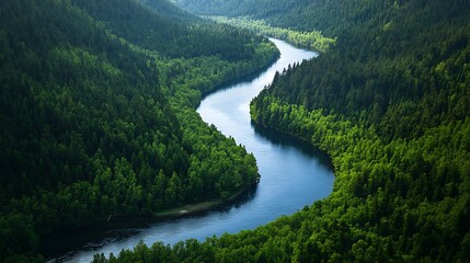 A winding river flowing through lush green trees and vegetation