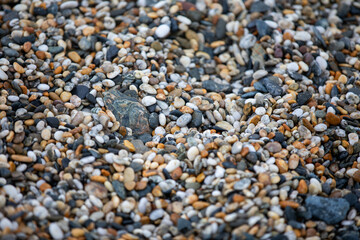 Rocks and pebbles along Marazion Beach in Cornwall, UK.