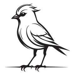 silhouette of a bird