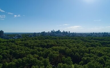 Obraz premium Melbourne's cityscape seen from the Kings Domain parklands in Australia