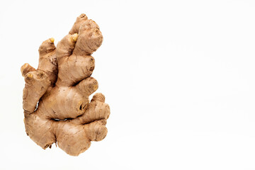 Healthy fresh ginger root - Zingiber officinale.
