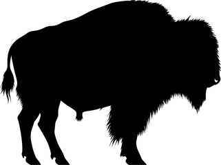 bison illustration silhouette