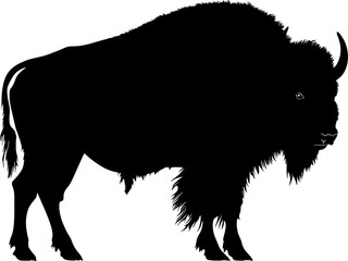 bison illustration silhouette