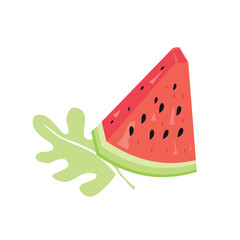 delicious slice of pink watermelon