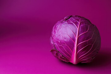 A vibrant and beautiful whole head of purple cabbage rests alone