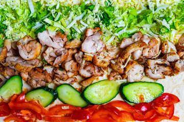 Grilled chicken wrap with fresh vegetables and salad toppings