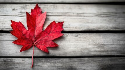 Obraz premium Falling autumn leaves wooden surface nature photography outdoor close-up seasonal beauty