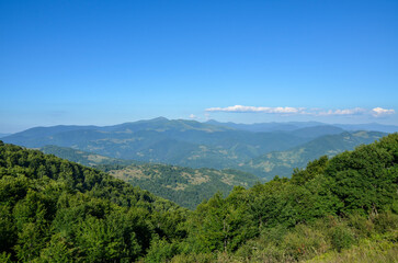 Fototapeta premium Panoramic view of lush green hills and distant mountains with vivid blue skies, capturing the tranquility of nature and the beauty of the outdoors. Carpathians, Ukraine