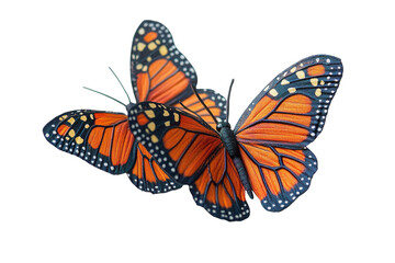 Obraz premium Two vibrant monarch butterflies perched gracefully with intricate patterns showcasing their orange and black wings