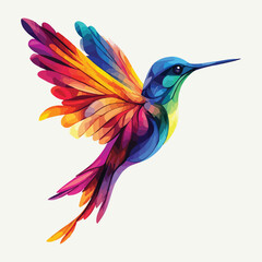 hummingbird colourful vector  © Nowrose