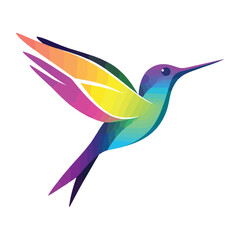 hummingbird colourful vector 