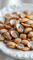 Obraz premium raw clams on white plate