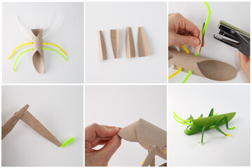 Step-by-step guide for creating a grasshopper craft using a cardboard tube, pipe cleaners, Six-step process showing assembly, attachment, and painting. DIY educational insect project for kids