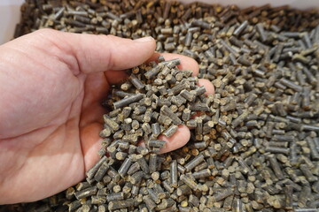 Farmer holding organic fertilizer pellets in hand for soil enrichment