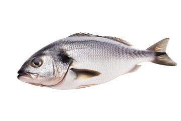 Obraz premium Fish is shown on a white background, isolated