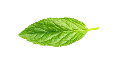 Obraz premium Leaf of mint is shown in its natural form, isolated