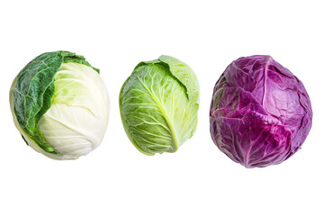 Fototapeta premium Three different colored cabbage heads are shown, with one being purple, isolated