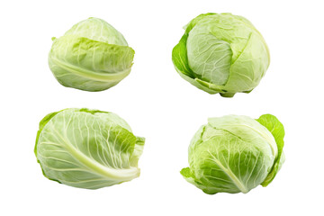 Obraz premium Four pieces of green cabbage are shown in a row, isolated