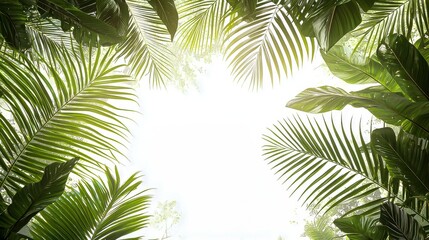 Fototapeta premium Botanical background featuring a tranquil Asia beach scene with coconut trees and vibrant palm branches in the corners of a picturesque booklet design.