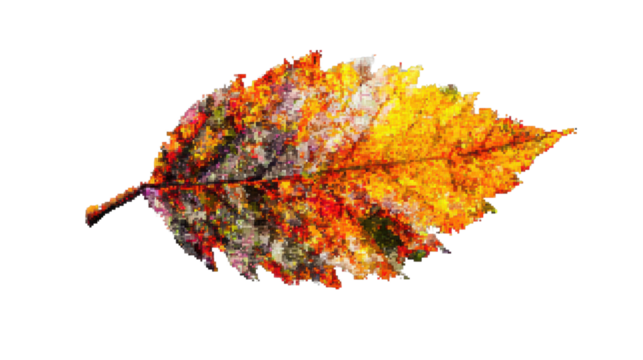 Pixelated autumn leaf showing fall colors on transparent background