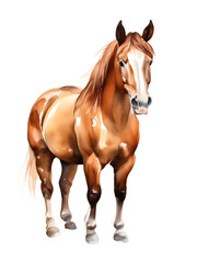 Fototapeta premium Chestnut Horse Quarter Horse Thoroughbred Cutout Sticker Isolated Watercolor Cute Kawaii Sticker Cutout PNG Transparent