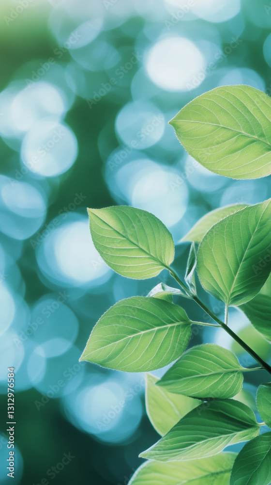 Aufkleber Green leaves growing on a branch in spring with beautiful bokeh effect in the background, illuminated by sunlight