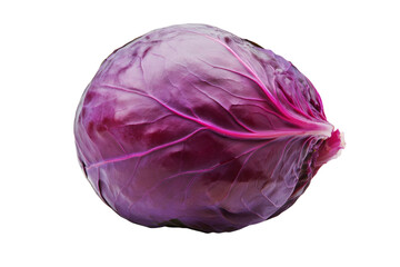 Fototapeta premium Large purple cabbage is sitting on a white background, isolated