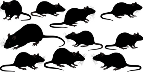 Obraz premium vector set, Silhouettes of rats 