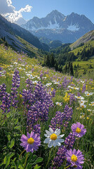 Fototapeta premium Alpine Meadow in Summer with Purple and White Wildflowers and Snow-Capped Peaks in Background Nature Photography 