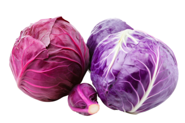 Three purple cabbage heads are displayed on a white background, isolated