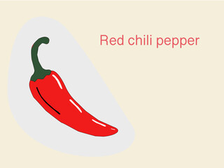 Red chili pepper. Vibrant red chili pepper illustration. Hand drawn red chili pepper. Red hot chili pepper. Red pepper in sketch style . Realistic hand drawn drawing of a whole ripe red chili pepper.
