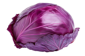 Fototapeta premium Large purple cabbage with a green leaf on top, isolated