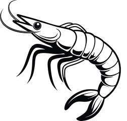 vector illustration of shrimp