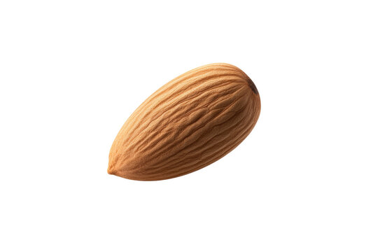 Nut is shown on a white background, isolated