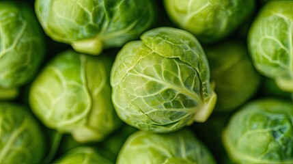 Fresh Green Brussels Sprouts Piled Together in a Natural Setting