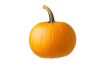 Obraz premium Large orange pumpkin with a stem, isolated