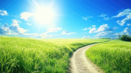 Fototapeta premium A dirt road winding through a vast wheat field under a clear blue sky.