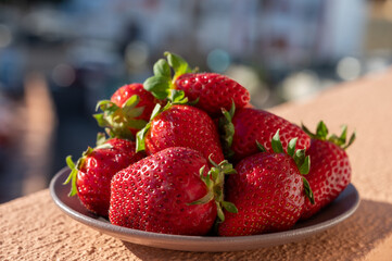 New harvest, plate with bio ripe red sweet strawberry from Tenerife, Canary islands, Spain,...