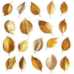Fototapeta premium Golden leaves arranged artistically on a white background showcasing various shapes and sizes for autumn decor inspiration