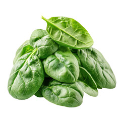 Obraz premium Harvesting fresh spinach a close-up of farm food photography