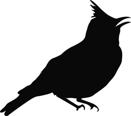 Crested Lark Vector Illustration – Detailed Songbird in Natural Habitat