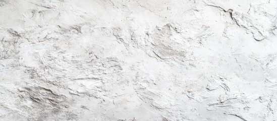 Obraz premium Textured white background featuring rough, uneven surface with subtle tonal variations and natural patterns ideal for design and artistic projects
