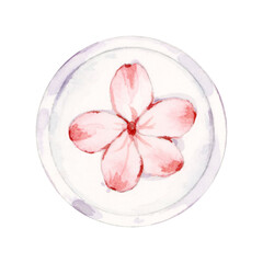 pink flower in a glass bowl