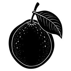vector illustration of Guava