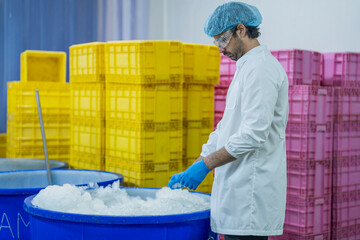 Worker monitoring frozen seafood in yellow crates and blue tubs Focus on food preservation quality assurance and industrial processing in a clean manufacturing environment.