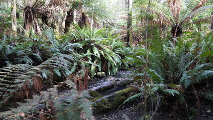 Hiking is the best experience