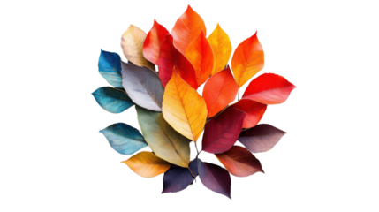 Colorful autumn leaves arranged in circle on transparent background